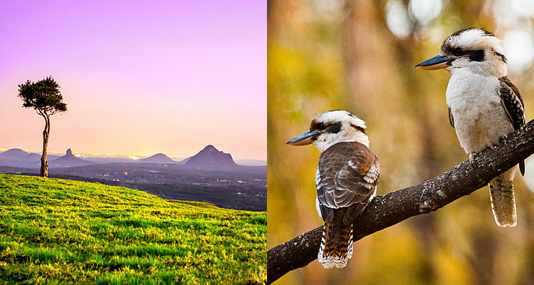 Maleny Hinterland Escape